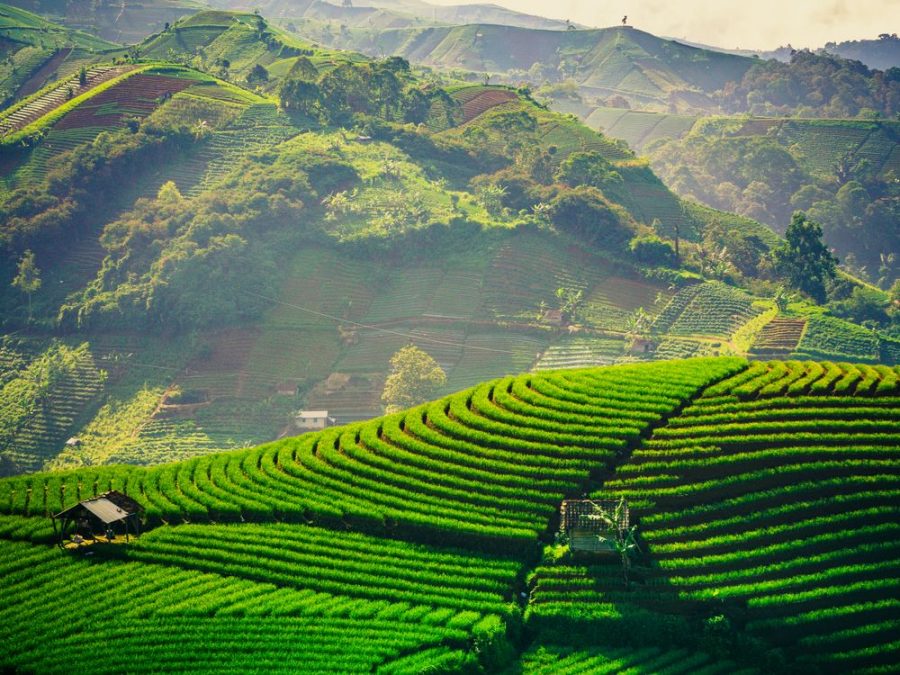 Profil Kekayaan Alam & Aset Desa